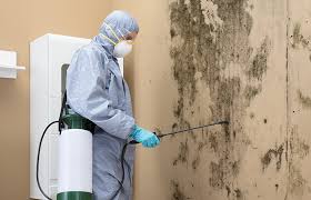 Best Industrial Mold Remediation  in Colton, CA